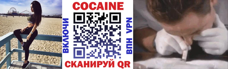 купить наркотики сайты  Спасск-Рязанский  мега зеркало  COCAIN FishScale 