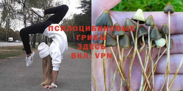 ПСИЛОЦИБИНОВЫЕ ГРИБЫ Алексин