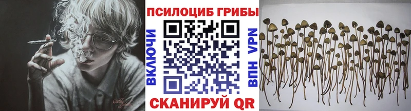 Галлюциногенные грибы Cubensis  маркетплейс формула  Спасск-Рязанский 